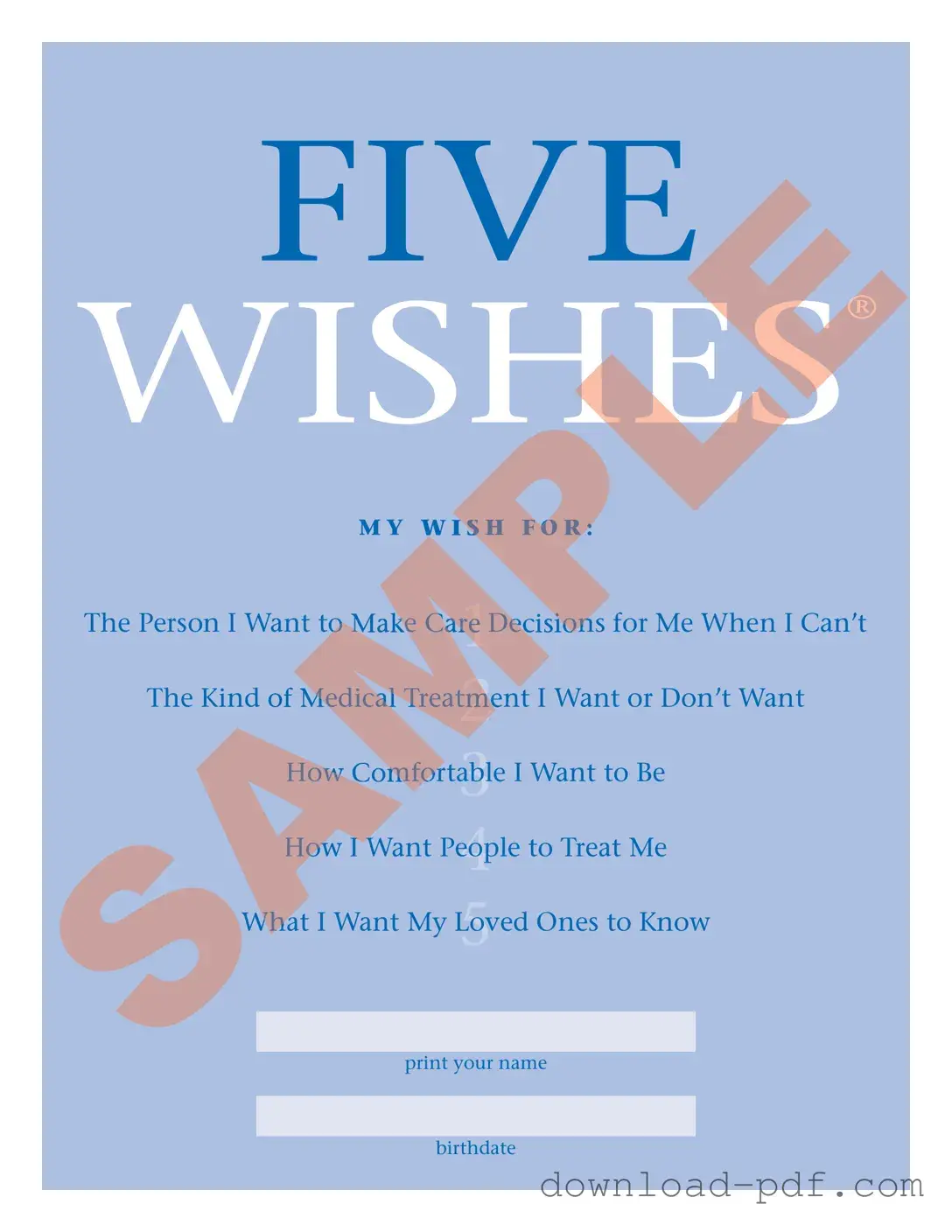 Get 5 Wishes Document Template in PDF