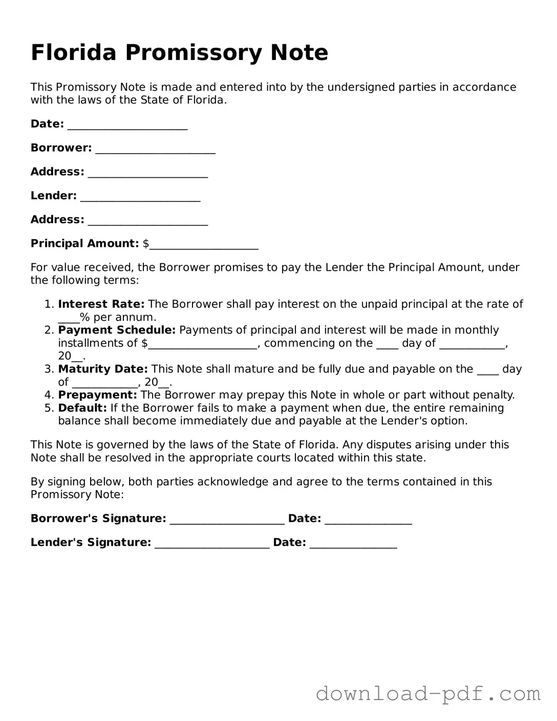 Florida Promissory Note Document
