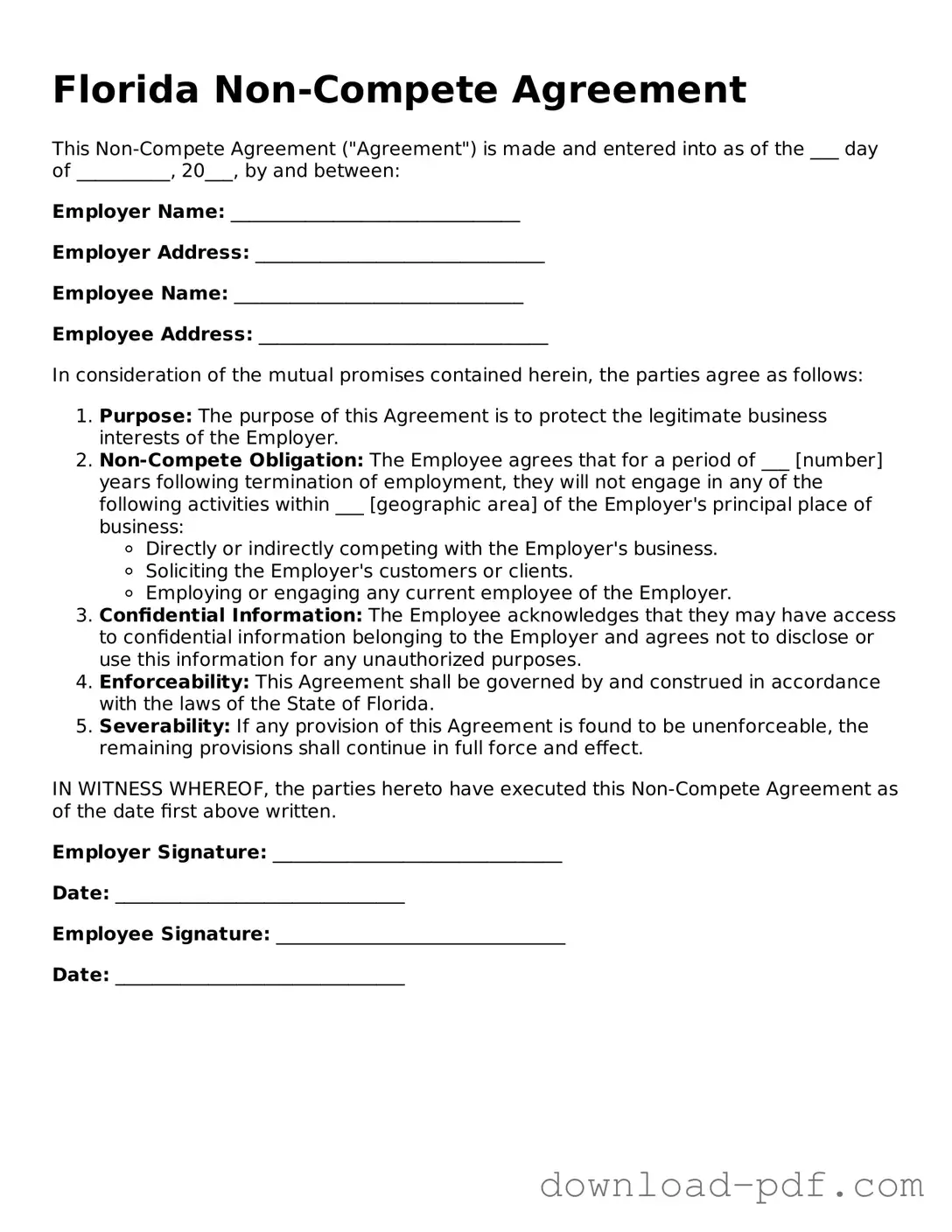 Florida Non-compete Agreement Document
