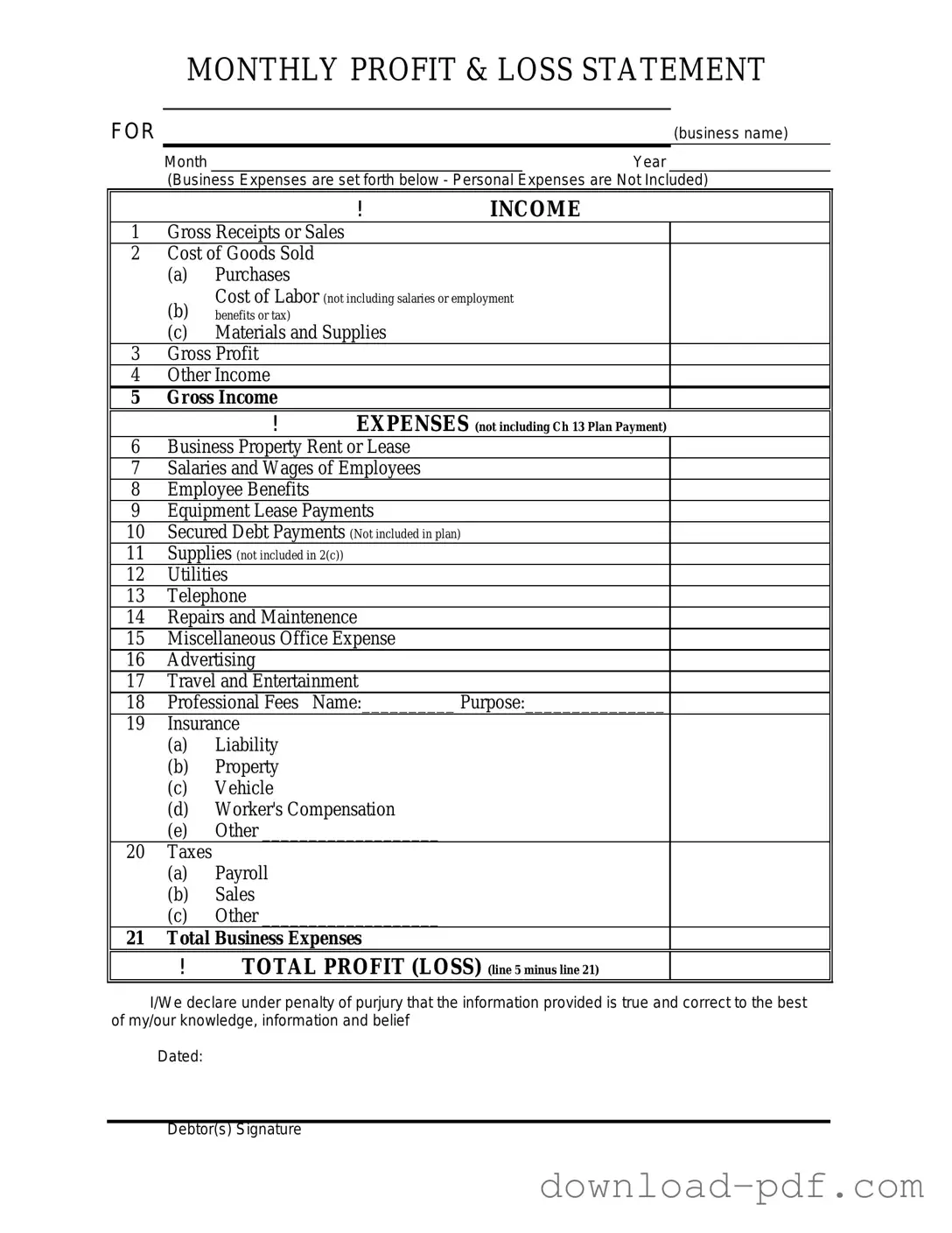 Get Profit And Loss Template in PDF