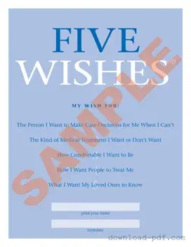 Get 5 Wishes Document Template in PDF
