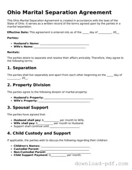Ohio Marital Separation Agreement Document