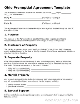 Ohio Prenuptial Agreement Document